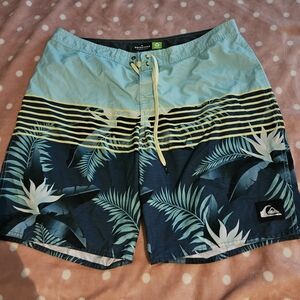 Mens Quicksilver Swim Shorts